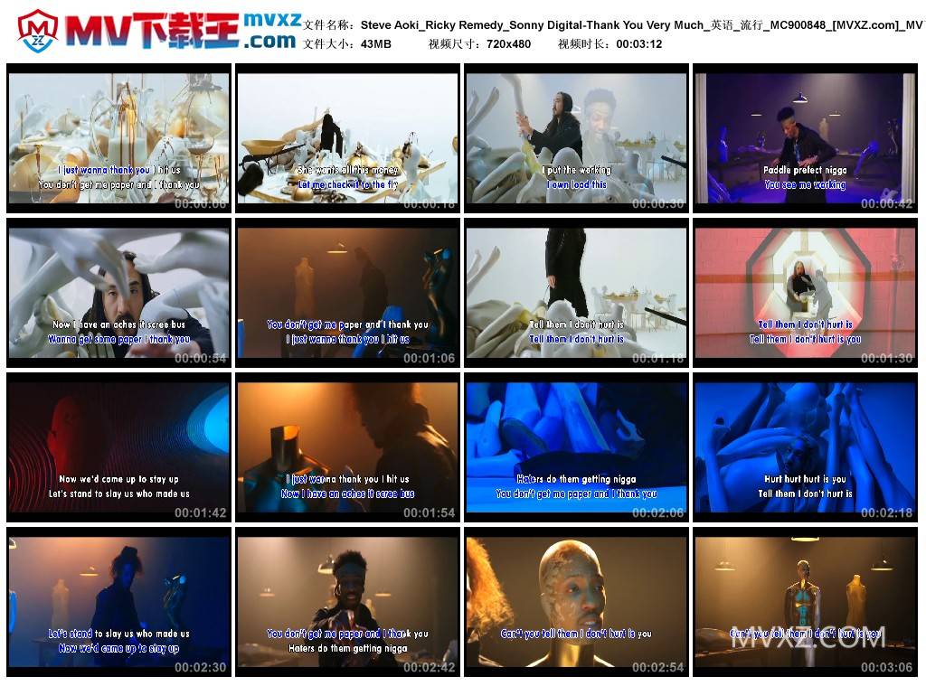 Steve Aoki_Ricky Remedy_Sonny Digital-Thank You Very Much_英语_流行_MC900848